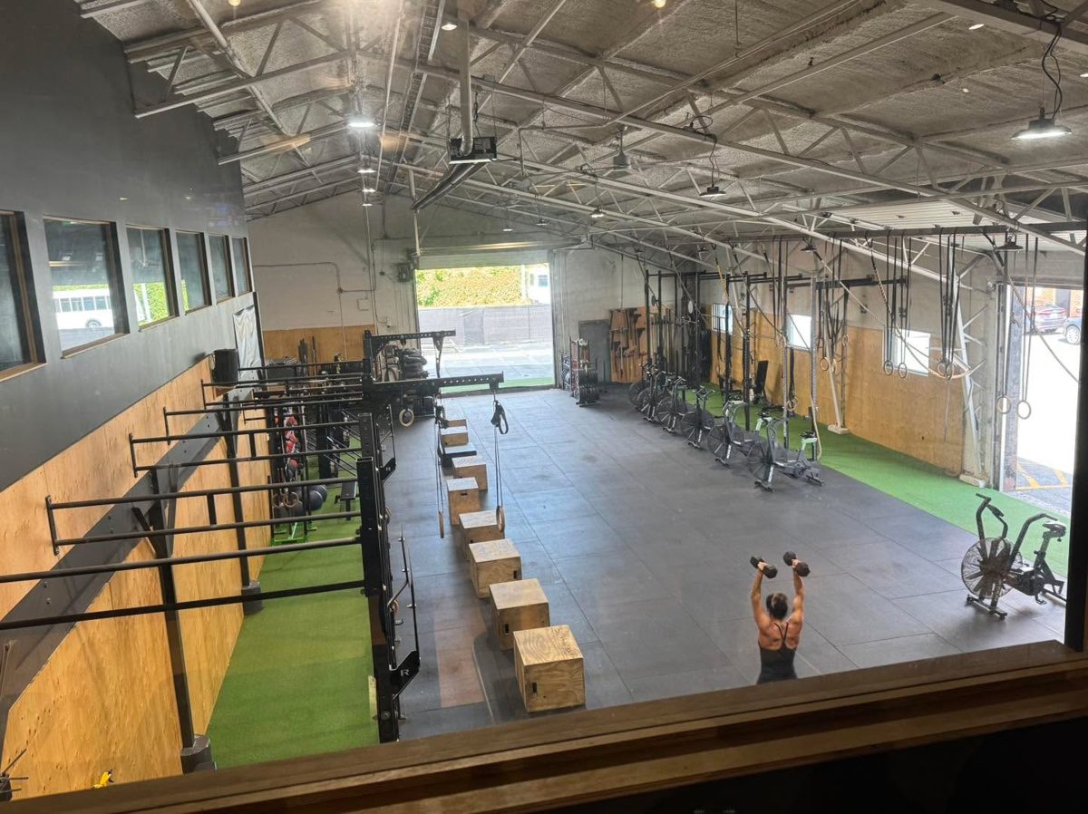 13 gyms rencontrés à travers Montréal, photo 5