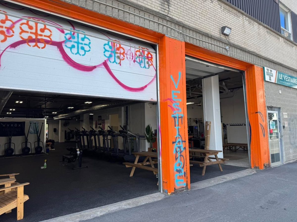 13 gyms rencontrés à travers Montréal, photo 6